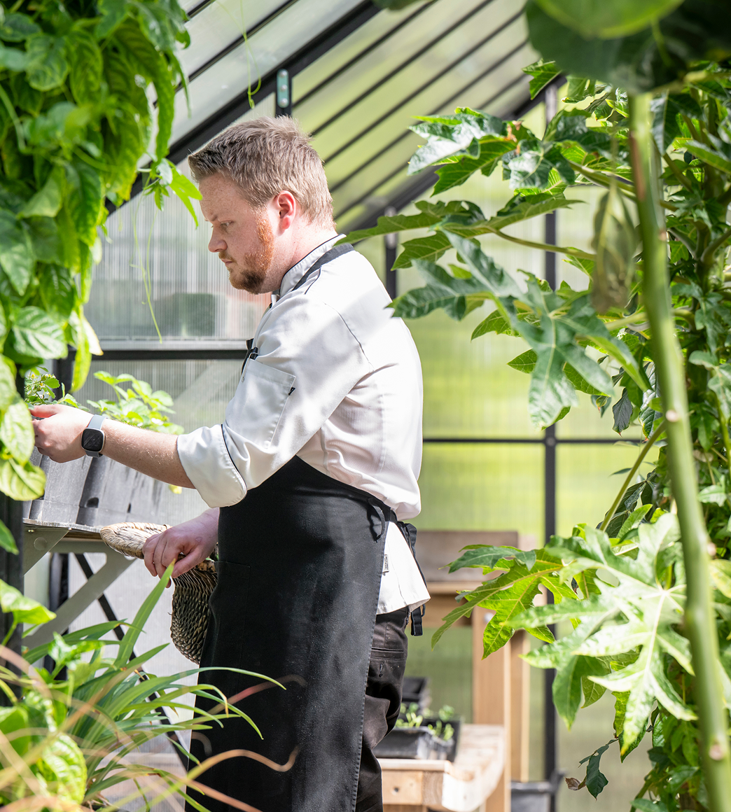 Greenhouse