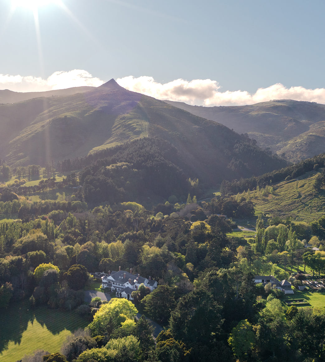 A Home for New Zealand