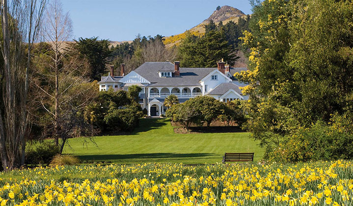 Otahuna Lodge with daffodils