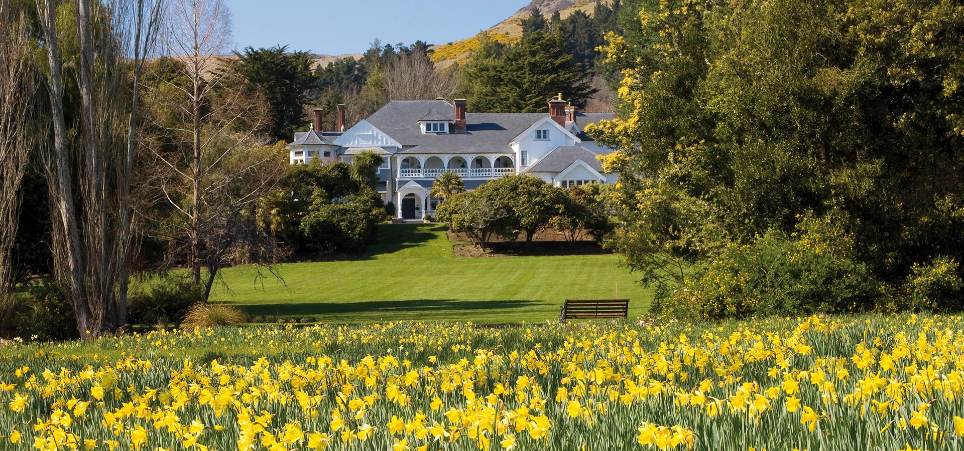 Otahuna Lodge with daffodils